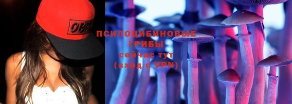 дмт Вязьма