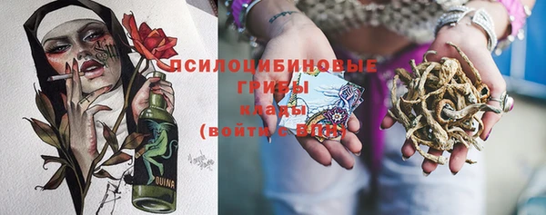 а пвп мука Абаза